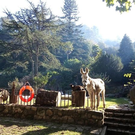Hotel Quinta Do Castanheiro Sintra Exteriér fotografie