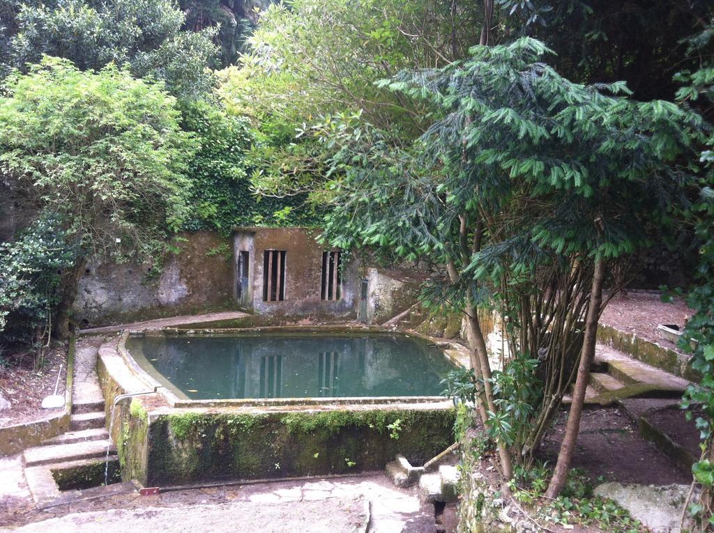 Hotel Quinta Do Castanheiro Sintra Exteriér fotografie