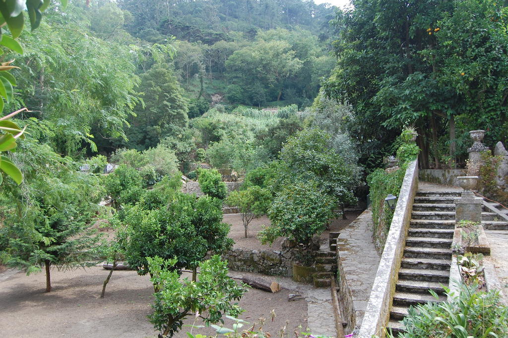 Hotel Quinta Do Castanheiro Sintra Exteriér fotografie