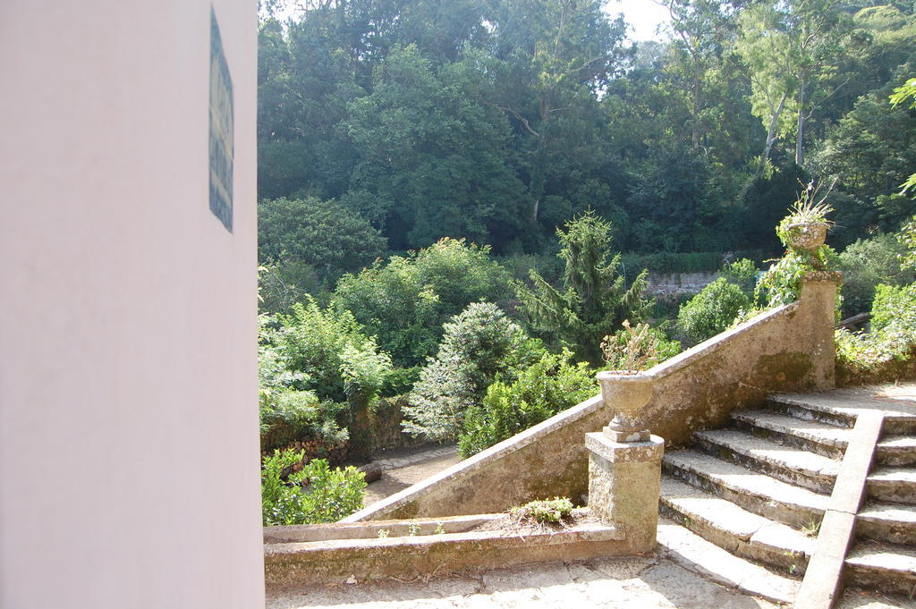 Hotel Quinta Do Castanheiro Sintra Exteriér fotografie