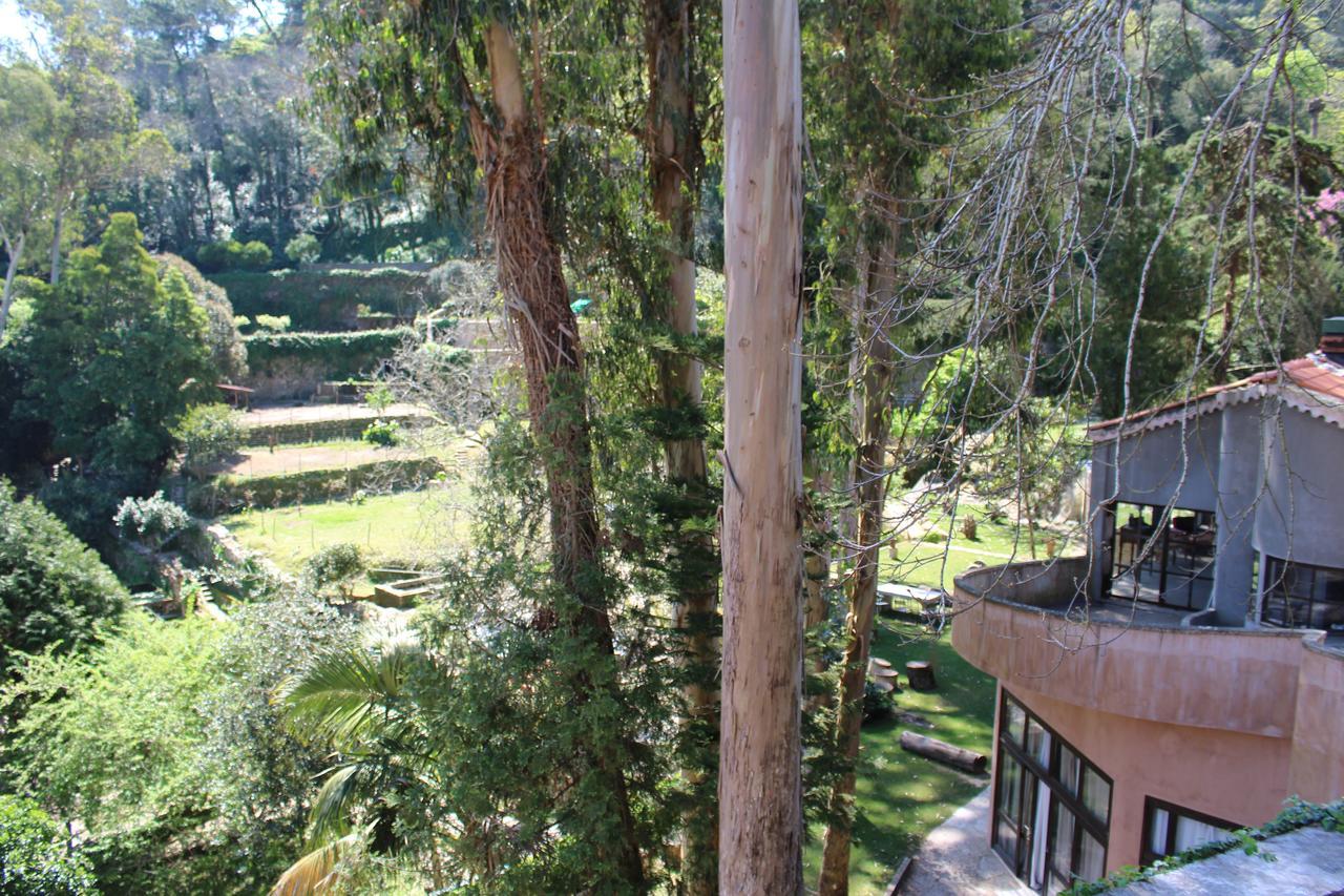 Hotel Quinta Do Castanheiro Sintra Exteriér fotografie